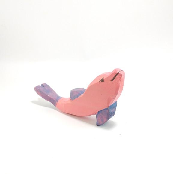 Boto-cor-de-rosa