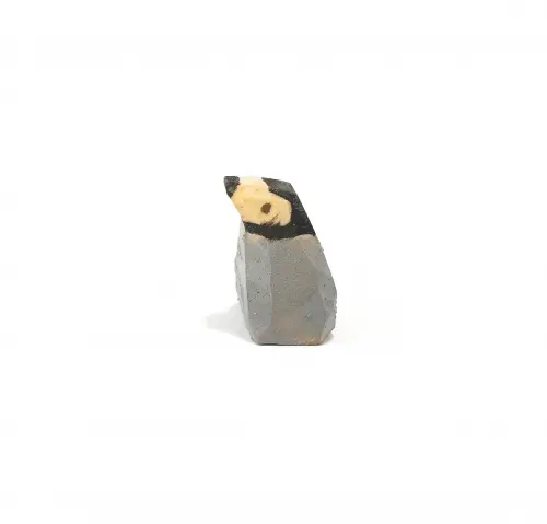 Pinguim Filhote de Madeira