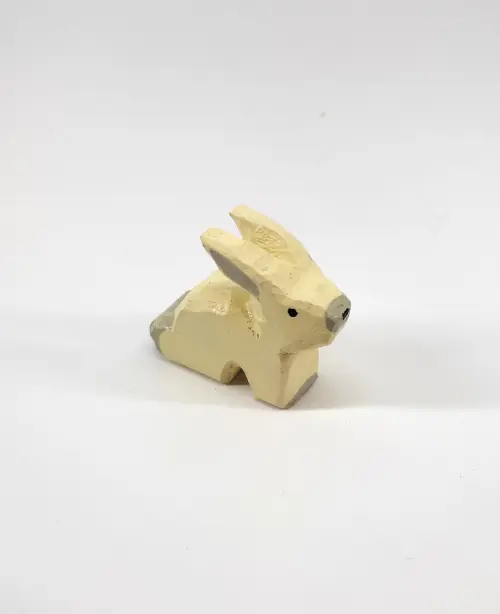 Coelho 1