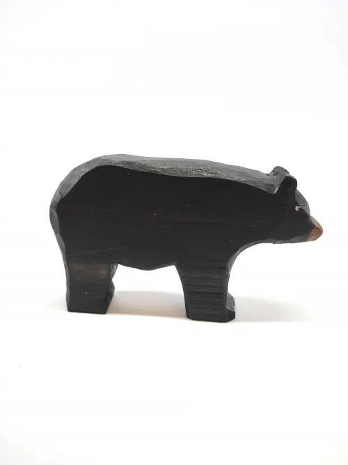 Urso Preto 2