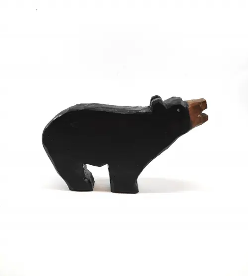 Urso Preto 1