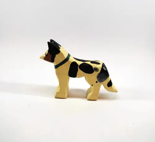 Cachorro - Border Collie