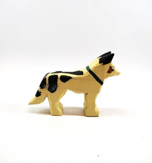 Cachorro - Border Collie
