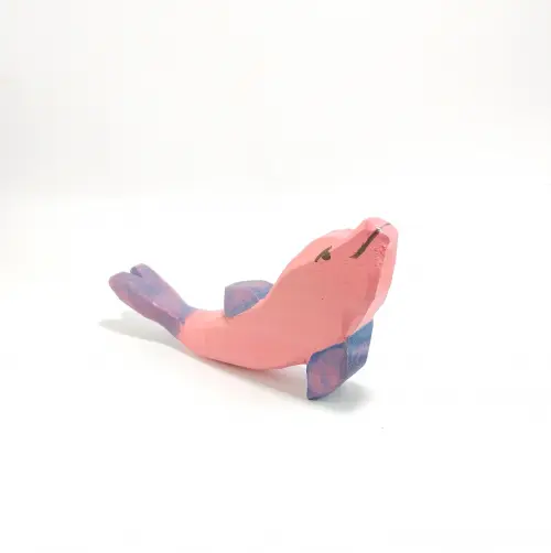 Boto-cor-de-rosa