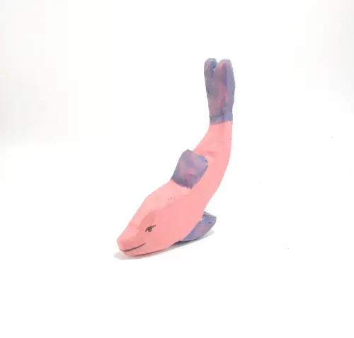 Boto-cor-de-rosa