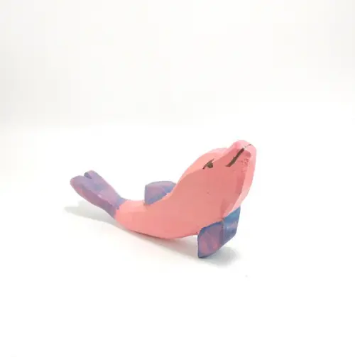 Boto-cor-de-rosa