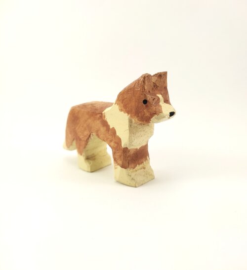 Cachorro 3