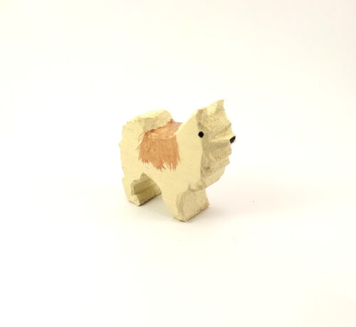 Cachorro 4