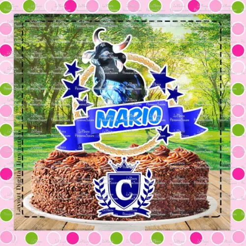 Topo de Bolo Parintins