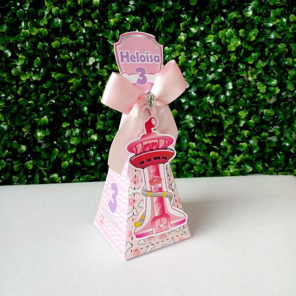 Caixa Cone Patrulha Canina Rosa
