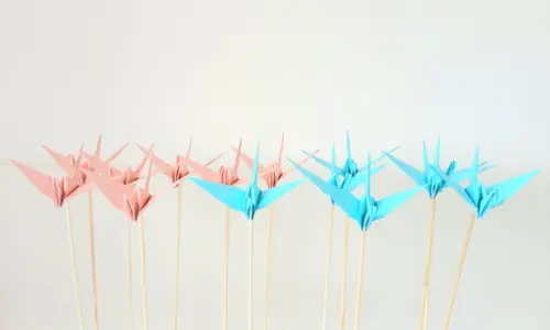 Topper Tsuru