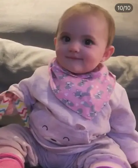 Babador Bandana Rosa Raposinhas