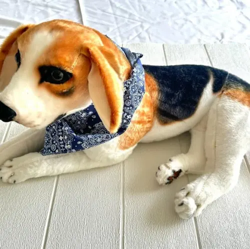 Bandana Pet Dupla Face Azul com Extensor