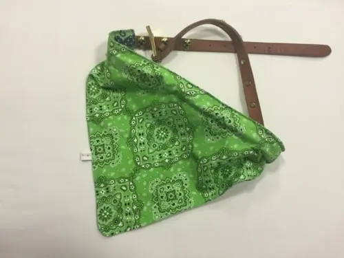 Bandana Pet Verde Dupla Face