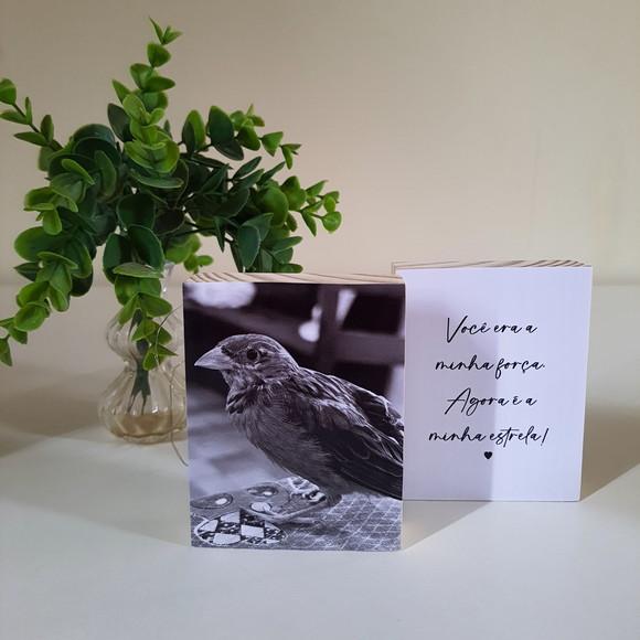 Quadros Personalizados minha Estrela Pets Homenagem