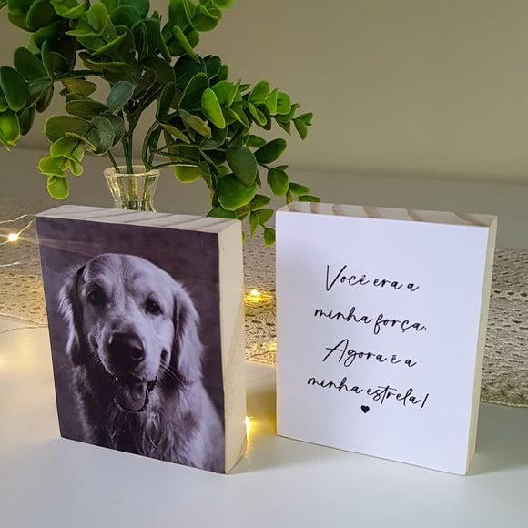 Quadros Personalizados minha Estrela Pets Homenagem
