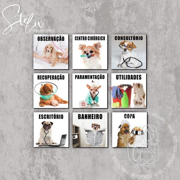 Quadros Decorativos para Portas Clínica de Veterinária 20x20