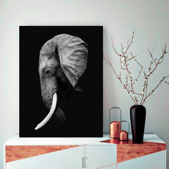 Placa Decorativa A4 - Elefante