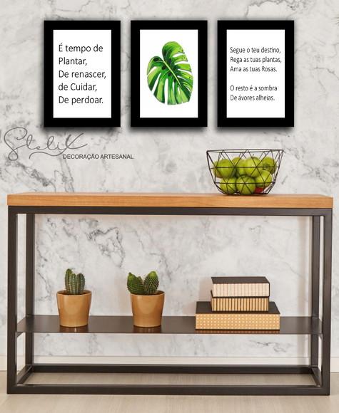 Kit Costela de Adão - 3 Placas Decorativas