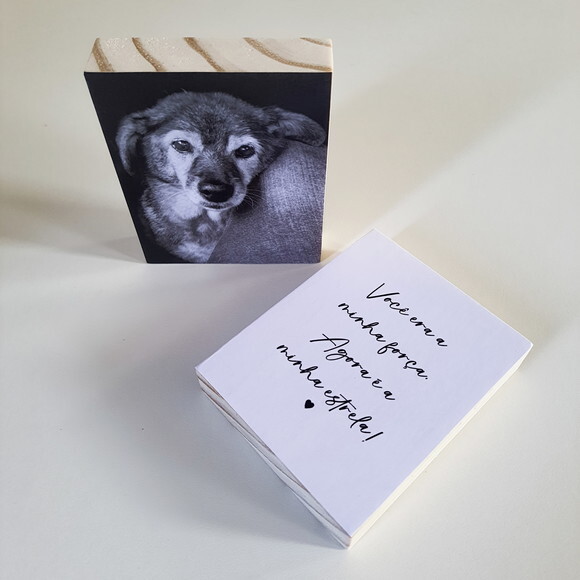 Quadros Personalizados minha Estrela Pets Homenagem