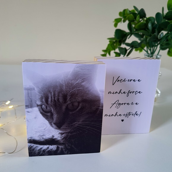 Quadros Personalizados minha Estrela Pets Homenagem