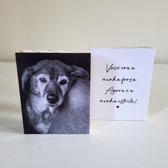Quadros Personalizados minha Estrela Pets Homenagem