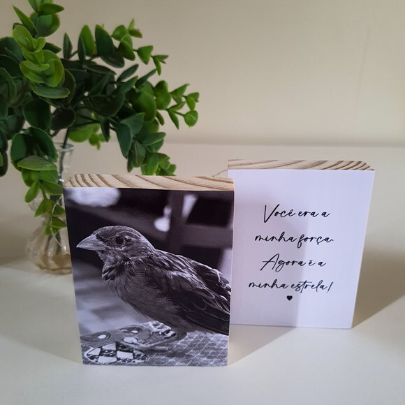 Quadros Personalizados minha Estrela Pets Homenagem
