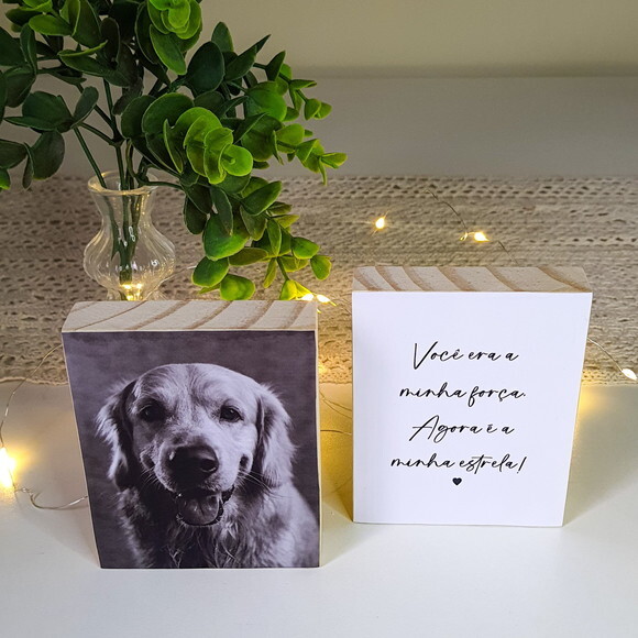 Quadros Personalizados minha Estrela Pets Homenagem