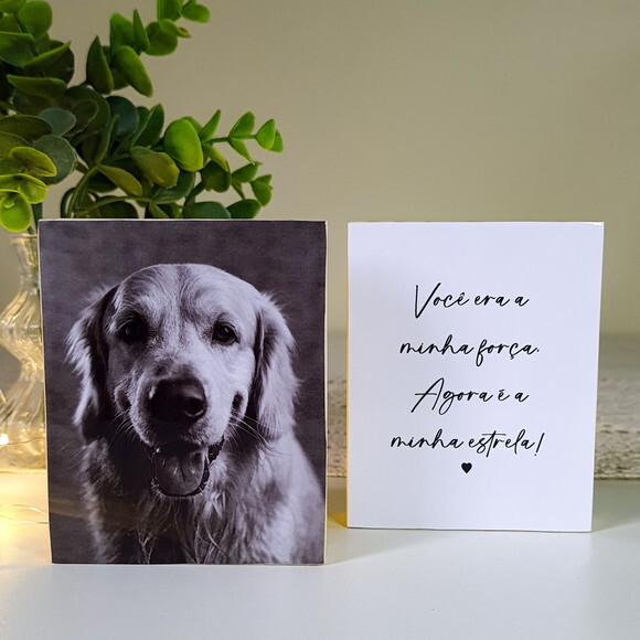 Quadros Personalizados minha Estrela Pets Homenagem