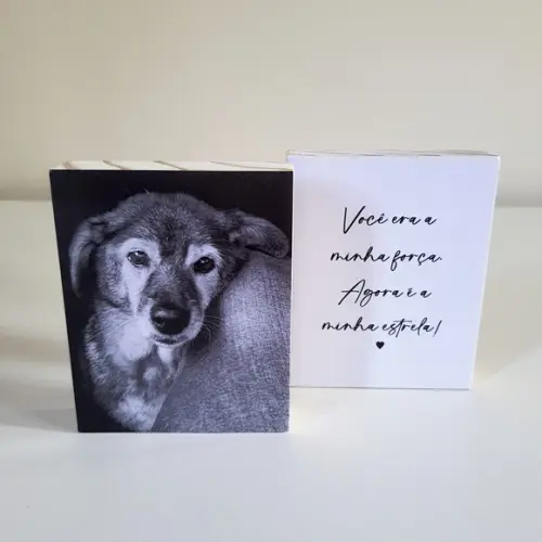 Quadros Personalizados "minha Estrela" Pets Homenagem
