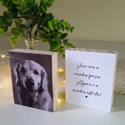 Quadros Personalizados "minha Estrela" Pets Homenagem