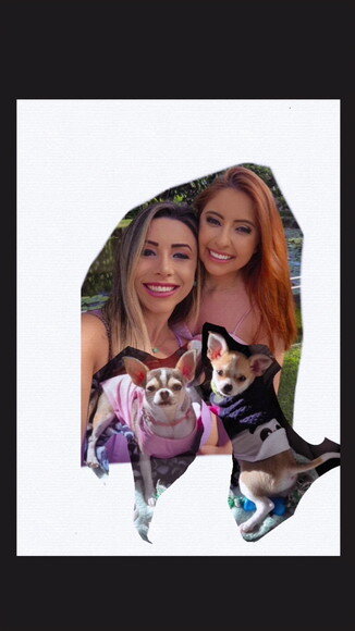 Quadro com Moldura e Vidro com Ilustração de Foto