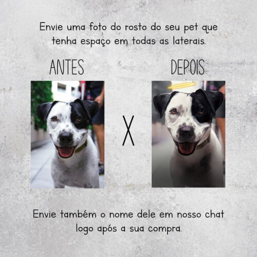 Quadro Personalizado Luto Pet Homenagem Foto pra Sempre