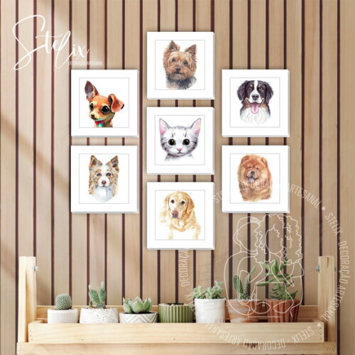 Quadros Cachorro e Gato para Clínica Veterinária