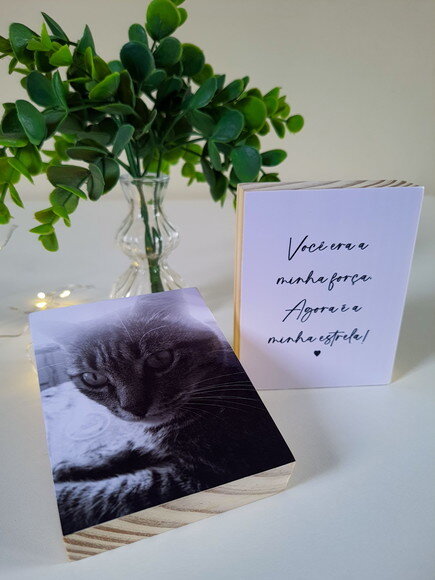 Quadros Personalizados "minha Estrela" Pets Homenagem