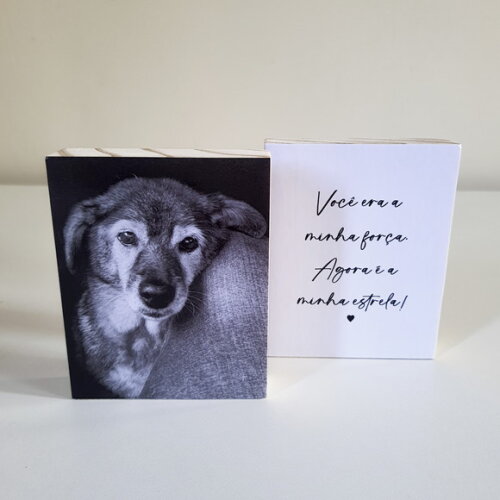 Quadros Personalizados "minha Estrela" Pets Homenagem
