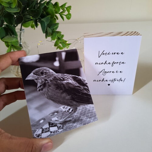 Quadros Personalizados minha Estrela Pets Homenagem