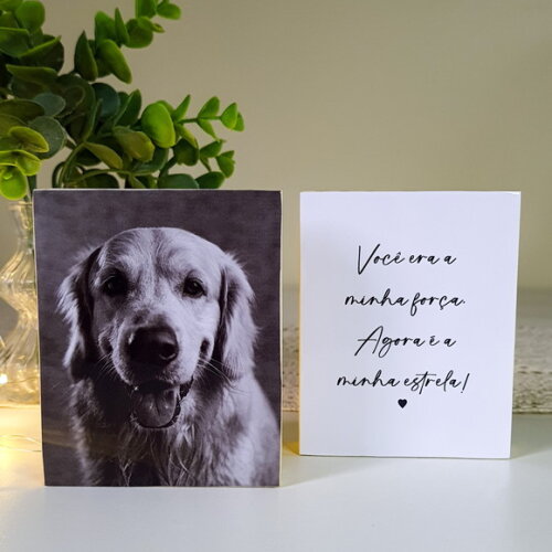 Quadros Personalizados minha Estrela Pets Homenagem