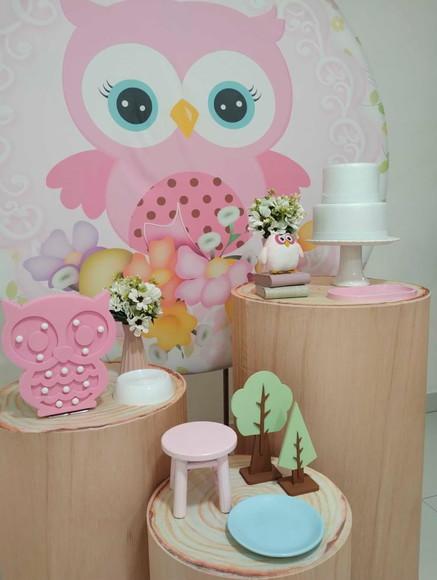 Decoração Coruja