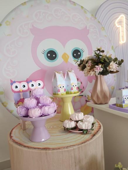 Decoração Festa Coruja