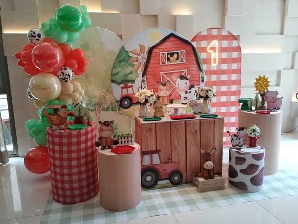 Decoração Festa Fazendinha com Balões Incluso