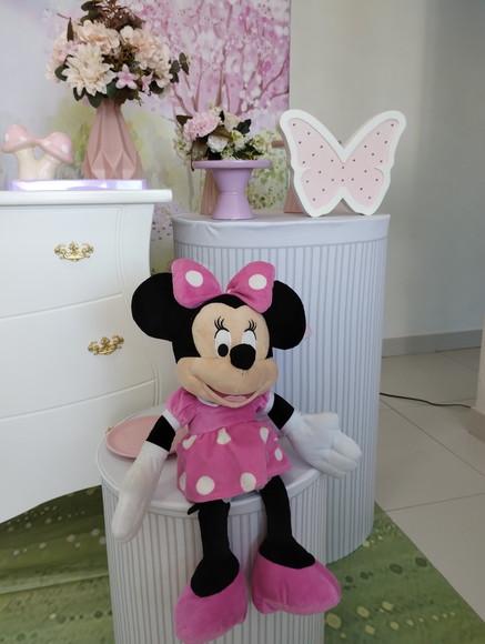 Decoração Jardim da Minnie