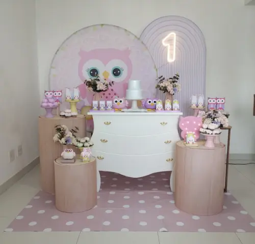 Decoração Festa Coruja