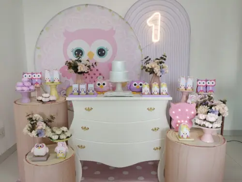 Decoração Festa Coruja