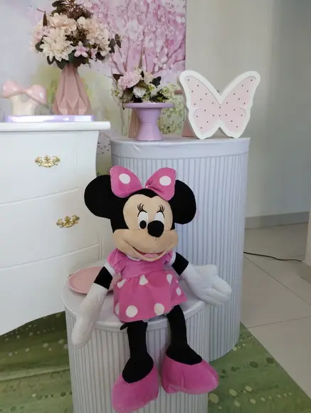 Decoração Jardim da Minnie