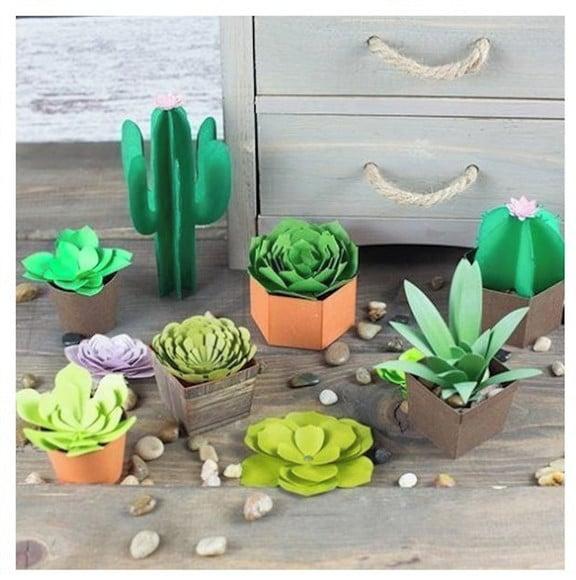 Arquivo Silhouette Kit Suculentas e Cactus 3d