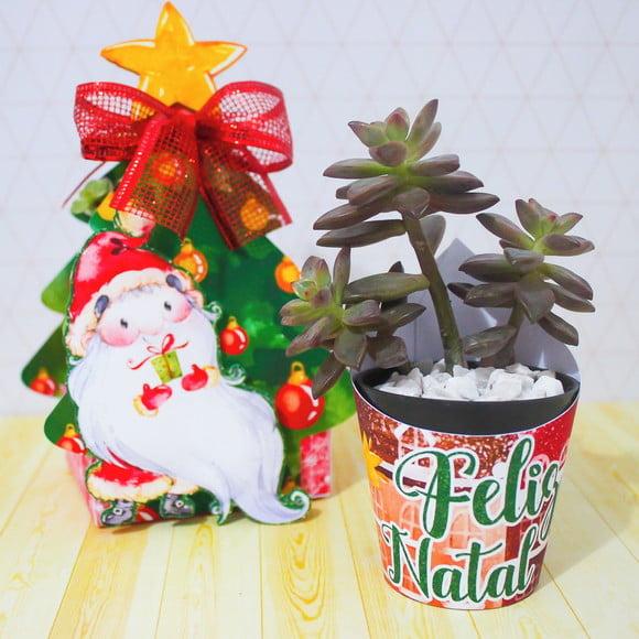 Arquivo Silhouette Embalagem Suculenta Natal