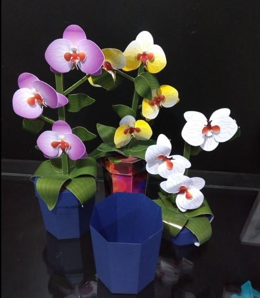 Arquivo Silhouette Flores de Papel 3 Cores Dia das Mães