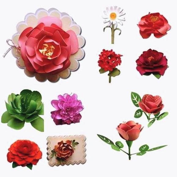 Kit 10 Flores De Papel Arquivo de Corte Silhouette