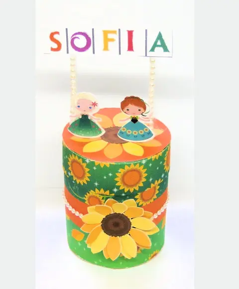 Arquivo Silhouette Caixinha Redonda Frozen Fever